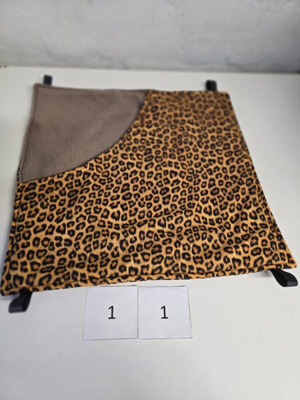 Safari Tour 11
